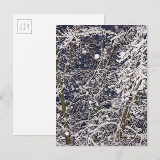 Carte Postale Tempête de blizzard hivernal Photographie d'arbre  (Devant / Derrière)