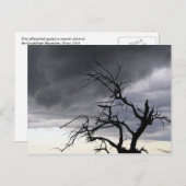 Carte Postale Tempête de Guadalupe (Devant / Derrière)