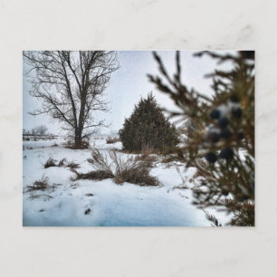 Carte Postale Tempête de neige dans l'hiver du Dakota du Nord