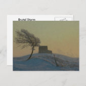 Carte Postale Tempête de neige de l'Illinois (Devant / Derrière)