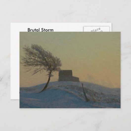 Carte Postale Tempête de neige de l'Illinois (Devant / Derrière)