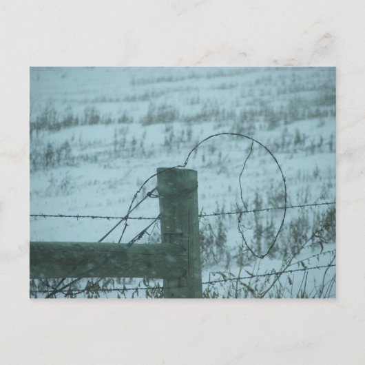 Carte Postale Tempête de neige du Dakota du Sud (Devant)