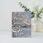 Carte Postale Tempête d'hiver (Debout devant)