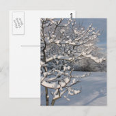 Carte Postale Tempête d'hiver (Devant / Derrière)