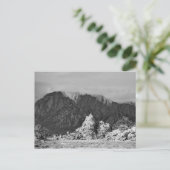 Carte Postale Tempête Rollin' In (Debout devant)