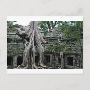 Carte Postale temple de ta prohm au cambodge