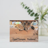 Carte Postale Temple de Tiger (Debout devant)