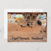 Carte Postale Temple de Tiger (Devant / Derrière)