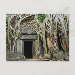 Carte Postale temples angkor