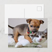 Carte postale - Temps de lavage! (Devant / Derrière)