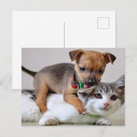 Carte postale - Temps de lavage! (Devant / Derrière)