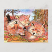 Carte Postale Temps de lecture des renards (Devant)