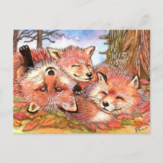 Carte Postale Temps de lecture des renards (Devant)
