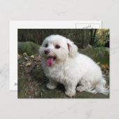 Carte Postale Temps de pause (Devant / Derrière)