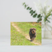 Carte Postale Temps de plaisir (Debout devant)