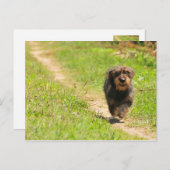 Carte Postale Temps de plaisir (Devant / Derrière)