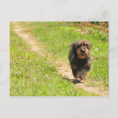 Carte Postale Temps de plaisir (Devant)