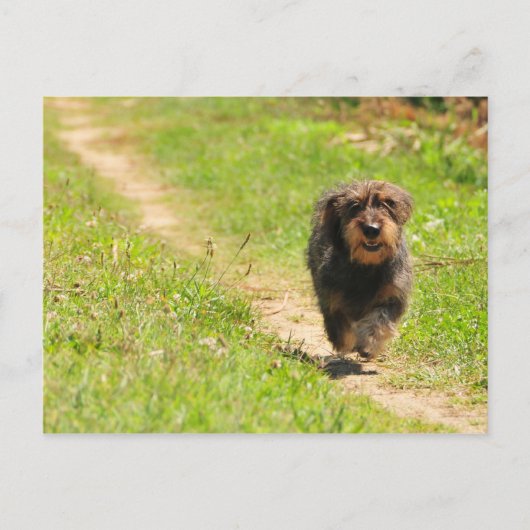 Carte Postale Temps de plaisir (Devant)