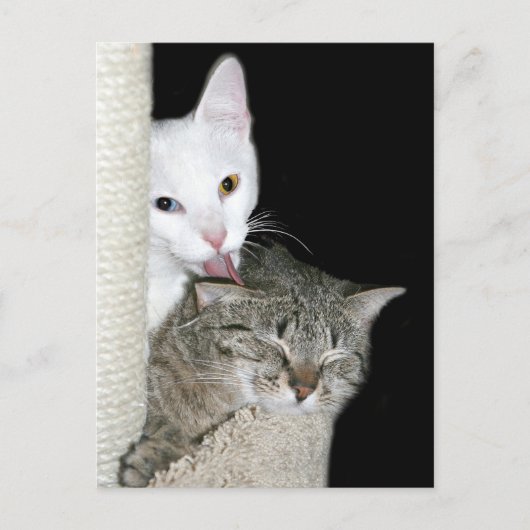 Carte Postale Temps de qualité du partage (Devant)