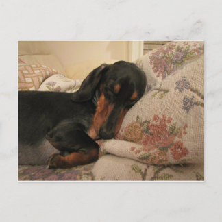 Carte postale Temps de sommeil