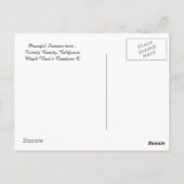 Carte Postale Temps d'été paisible.... (Dos)