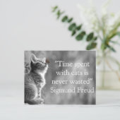 Carte Postale Temps passé avec des chats. . . (Debout devant)