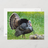 Carte postale Temps Turquie (Devant / Derrière)