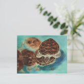 Carte postale Temps Turtle (Debout devant)