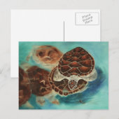Carte postale Temps Turtle (Devant / Derrière)