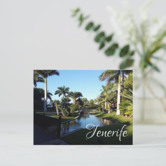 Carte Postale Tenerife (Debout devant)