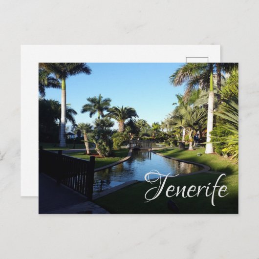 Carte Postale Tenerife (Devant / Derrière)