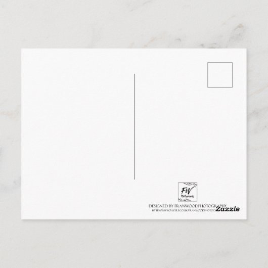 Carte Postale Tenerife (Dos)