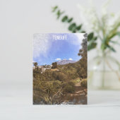 Carte Postale Tenerife Teide Les îles Canaries (Debout devant)