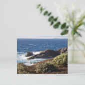 Carte Postale Teneriffa (Debout devant)