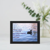 Carte Postale Tenez sur des rêves (Debout devant)