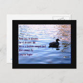 Carte Postale Tenez sur des rêves (Devant / Derrière)