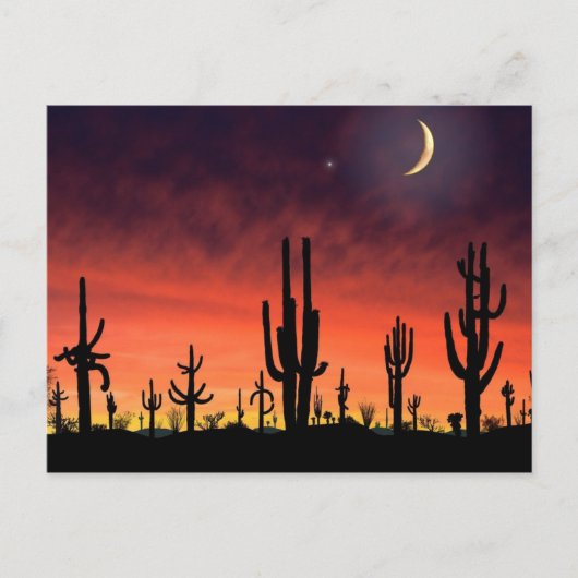 Carte Postale Tenir debout_ (Devant)