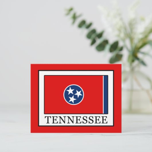 Carte Postale Tennessee (Debout devant)