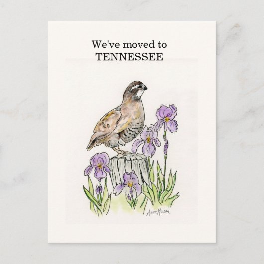 Carte Postale Tennessee (Devant)