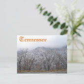 Carte Postale Tennessee (Debout devant)