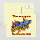 Carte Postale Tennessee The Volunteer State Racoon Flower Bird B (Devant / Derrière)