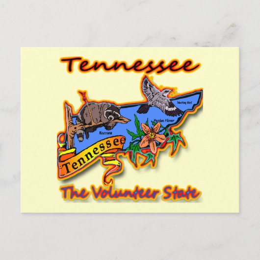 Carte Postale Tennessee The Volunteer State Racoon Flower Bird B (Devant)