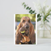 Carte Postale Tennis, quelqu'un ? (Debout devant)