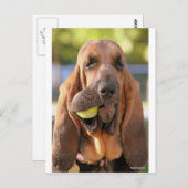 Carte Postale Tennis, quelqu'un ? (Devant / Derrière)