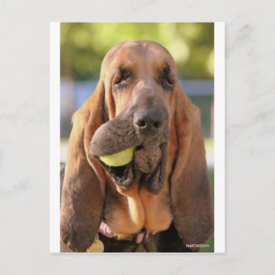 Carte Postale Tennis, quelqu'un ?