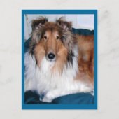 Carte Postale Tennyson-A-collie (Devant)