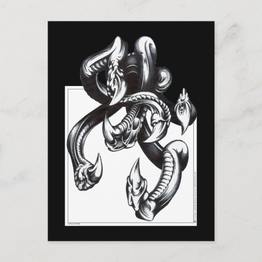 Carte Postale Tentacles (Devant)