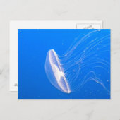 Carte Postale Tentacles de méduses (Devant / Derrière)