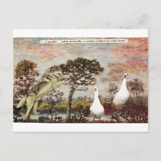 Carte Postale Tentez votre chance ! - (Devant)