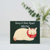 Carte Postale Tenue En Chat 6 Pieds Éparpillés (Debout devant)